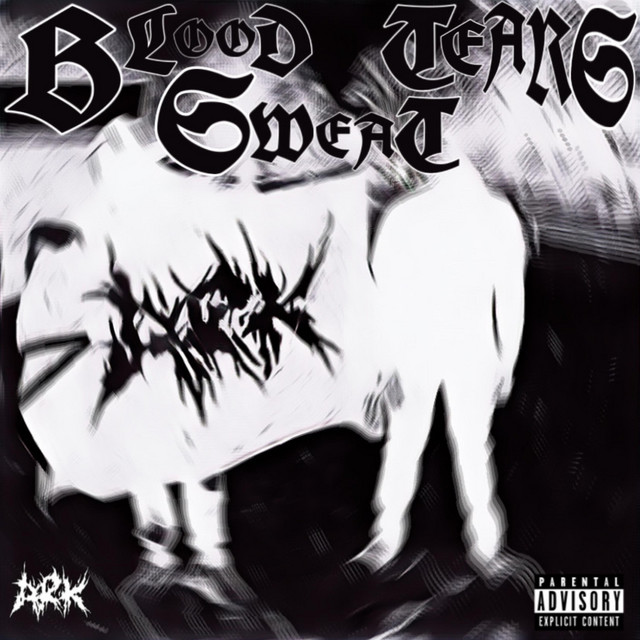 BLOOD SWEAT TEARS cover art