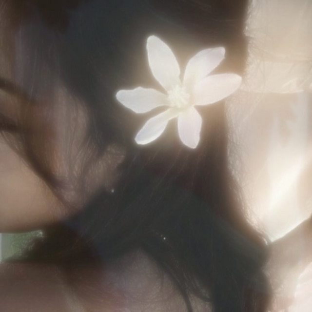 We Started as a Spark