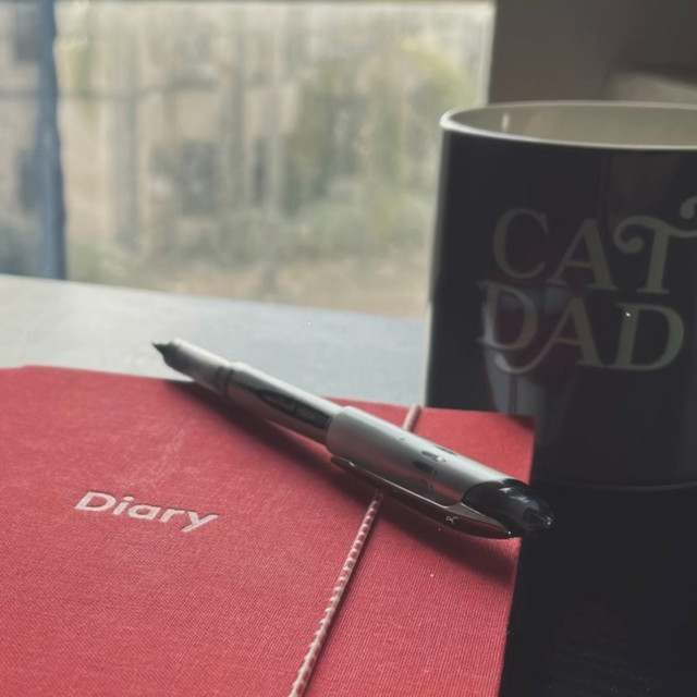 dear diary cover art