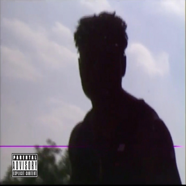 Flex cover art