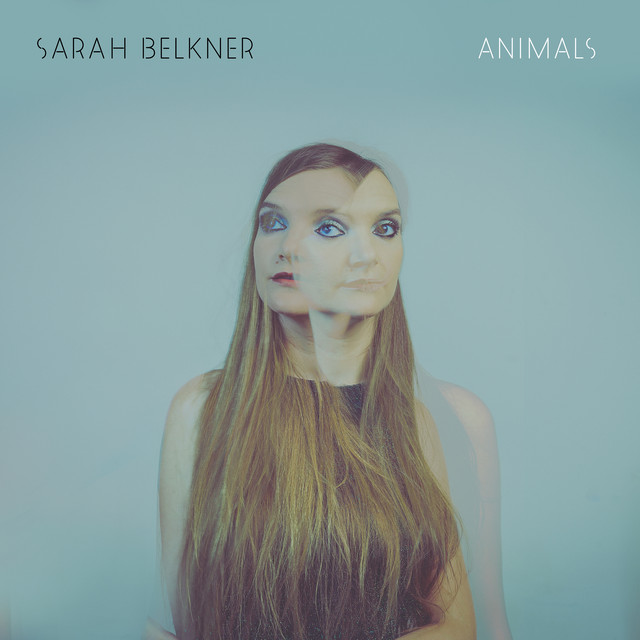 Animals cover