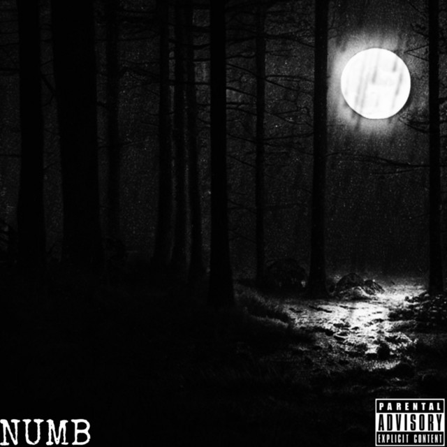 Numb cover art