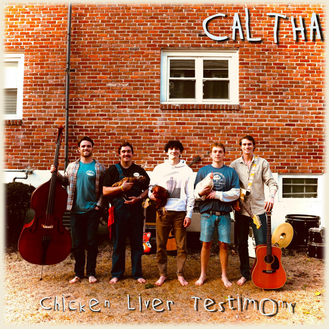 Chicken Liver Testimony cover art