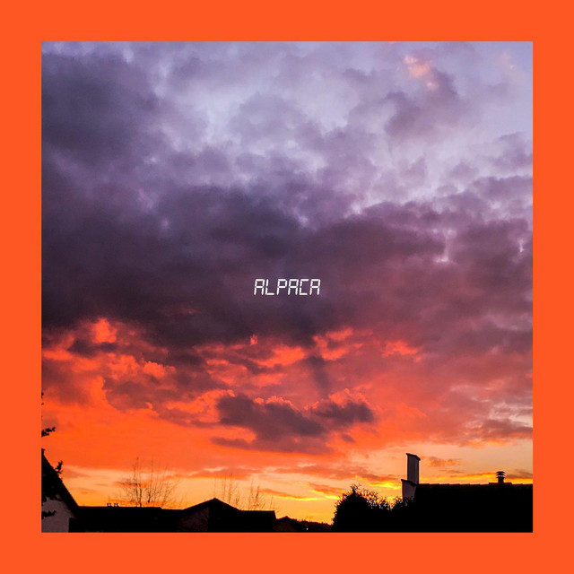 Alpaca cover art