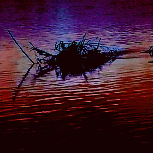 Skeletons