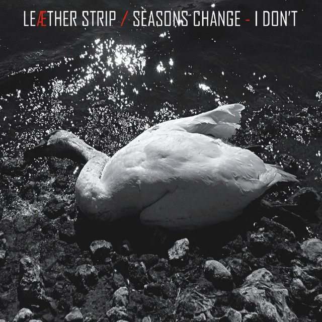 Seasons Change - I Don't cover art