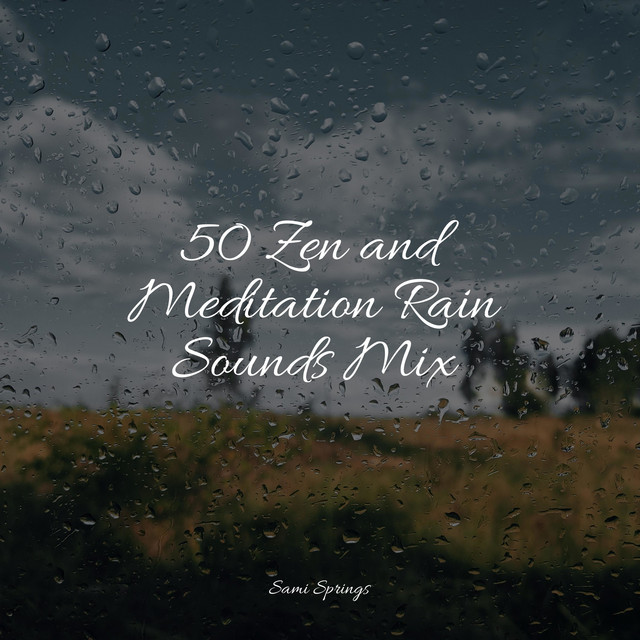 50 Zen and Meditation Rain Sounds Mix - Album by Naturaleza Relajacion ...