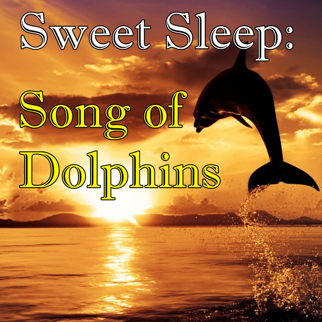 Sweet Sleep: Songs of Dolphins cover art