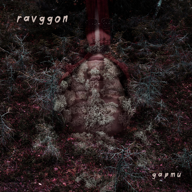 Gapmu cover art