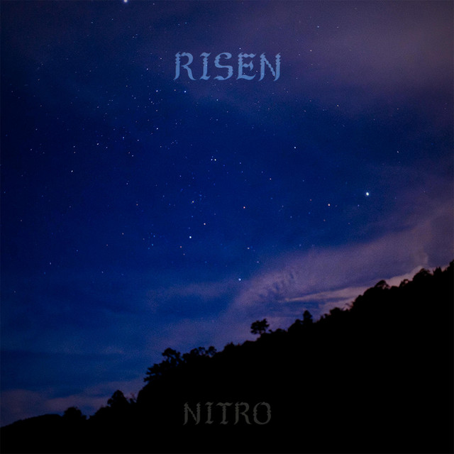 RISEN cover art