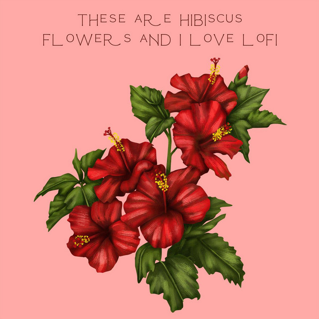 These Are Hibiscus Flowers and i Love Lofi cover
