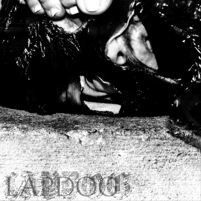 LAPDOG cover