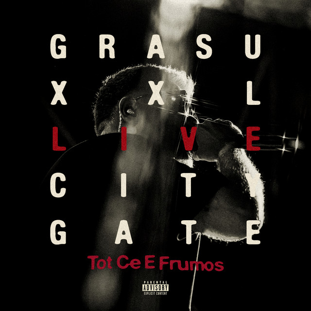 TOT CE E FRUMOS (LIVE @ CITY GATE) album image