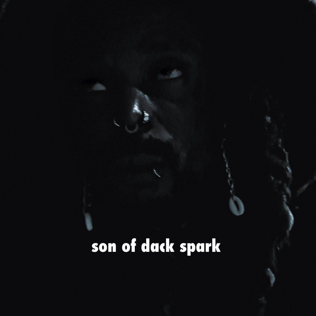 Skyboy street master – son of dack spark
