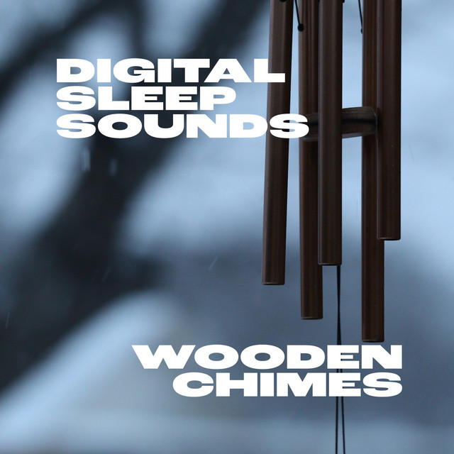 Digital Sleep Sounds | Spotify