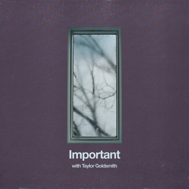 Important (with Taylor Goldsmith) by Michigander