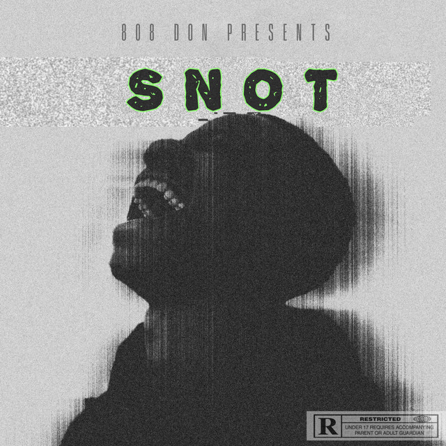 SNOT - Single by Issa Lamar | Spotify
