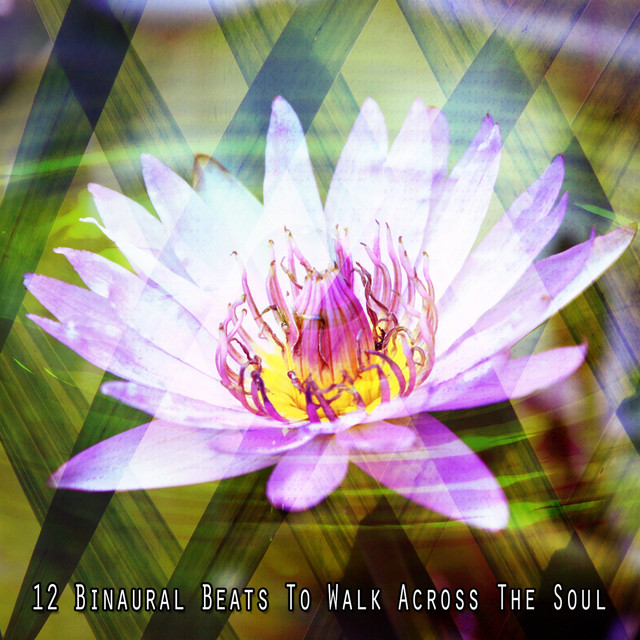 12 Binaural Beats To Walk Across The Soul - Album by Deep Sleep Music ...