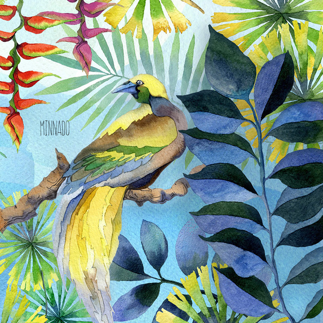 Sofia cover