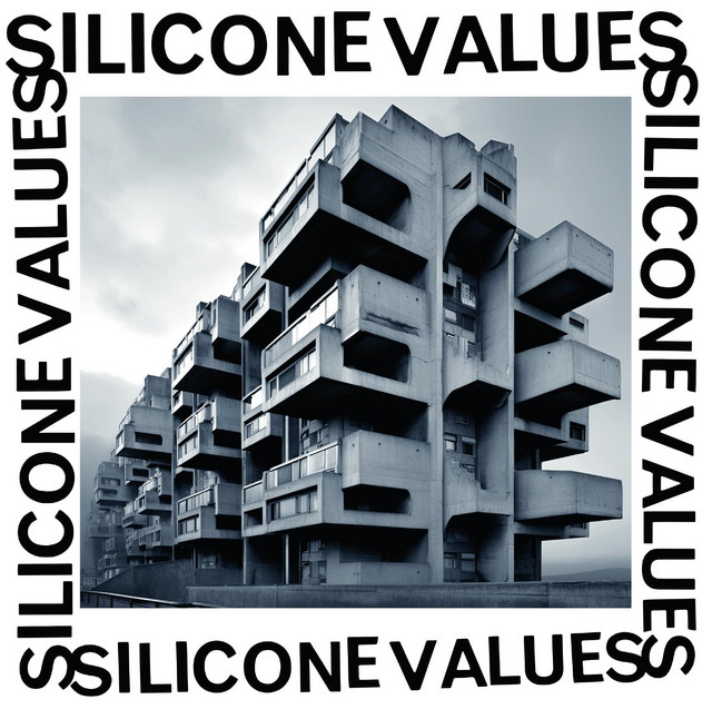 Silicone Values