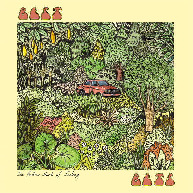 The Hollow Husk of Feeling cover art