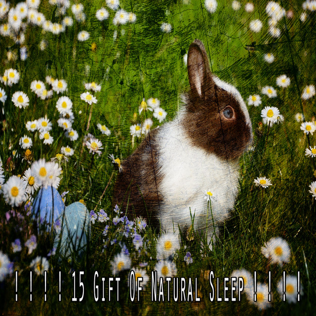 15 Gift Of Natural Sleep ! ! ! ! - Album by Sounds of Nature Noise ...