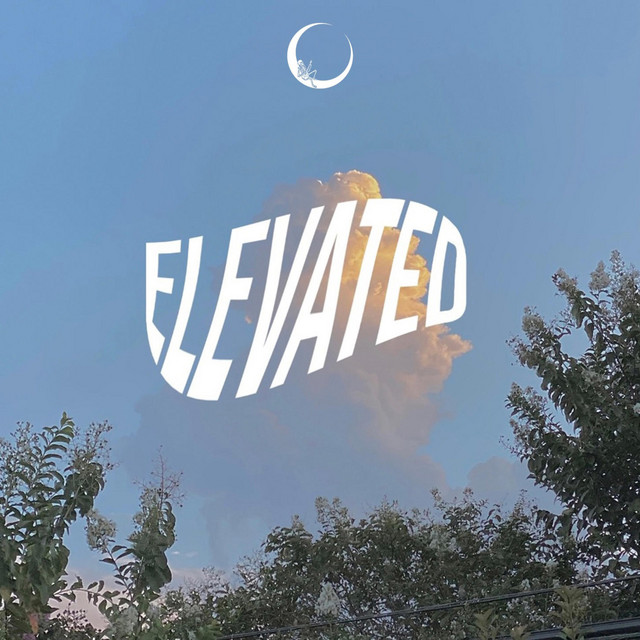 Elevated album image