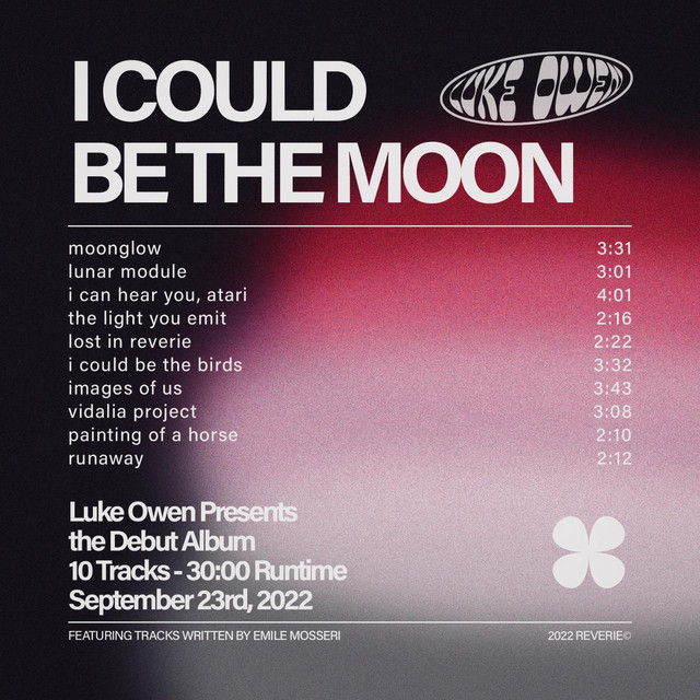 I Could Be The Moon cover art