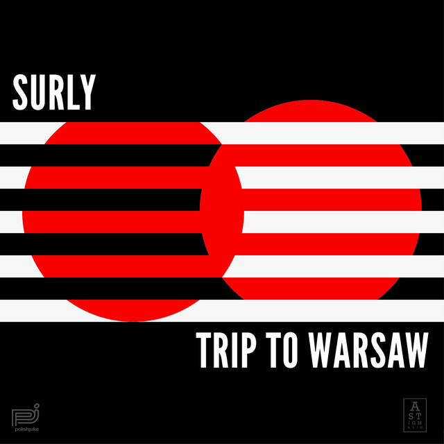 Trip to Warsaw cover art