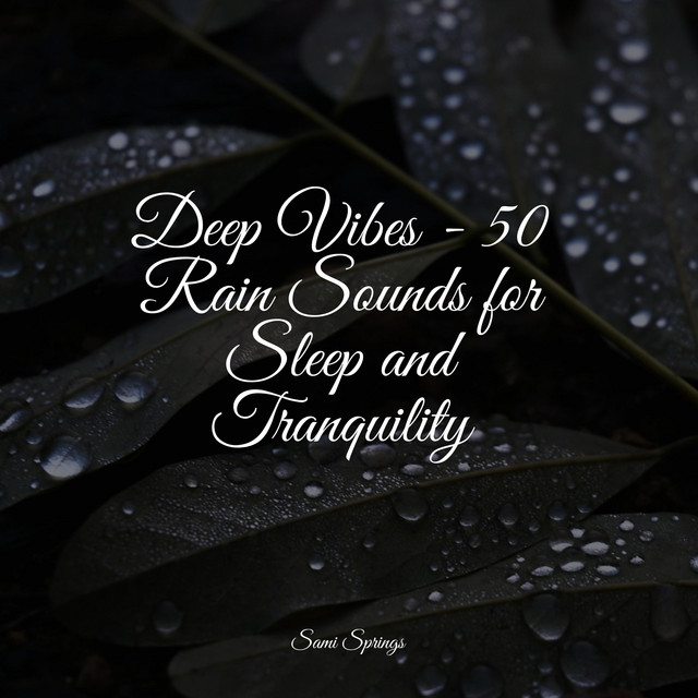 50 Natural Rain Sounds for Deep Sleep - Album by Spa Relaxation & Spa ...