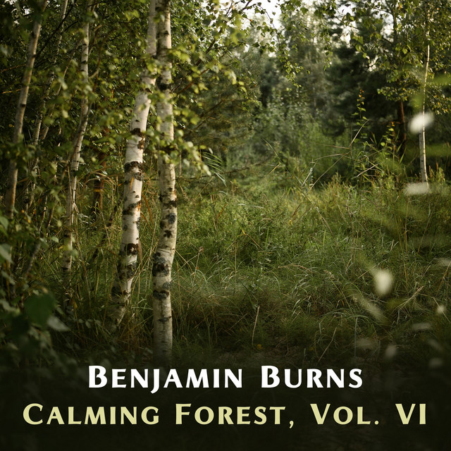 Calming Forest, Vol. VI cover art