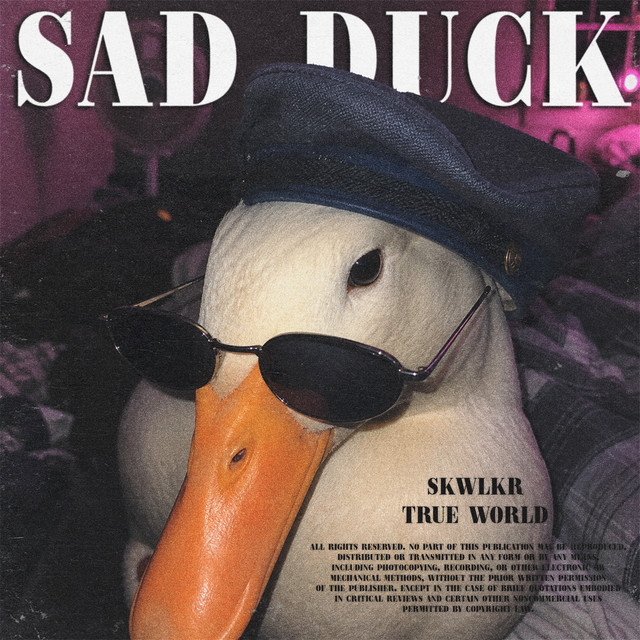 SAD DUCK cover