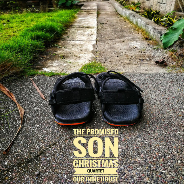The Promised Son cover