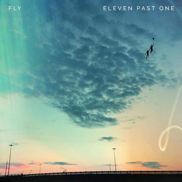 Fly cover