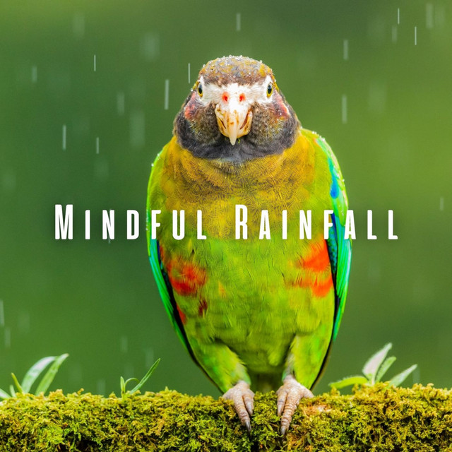 Mindful Rainfall: Study with Nature's Birds and Chill Music cover art