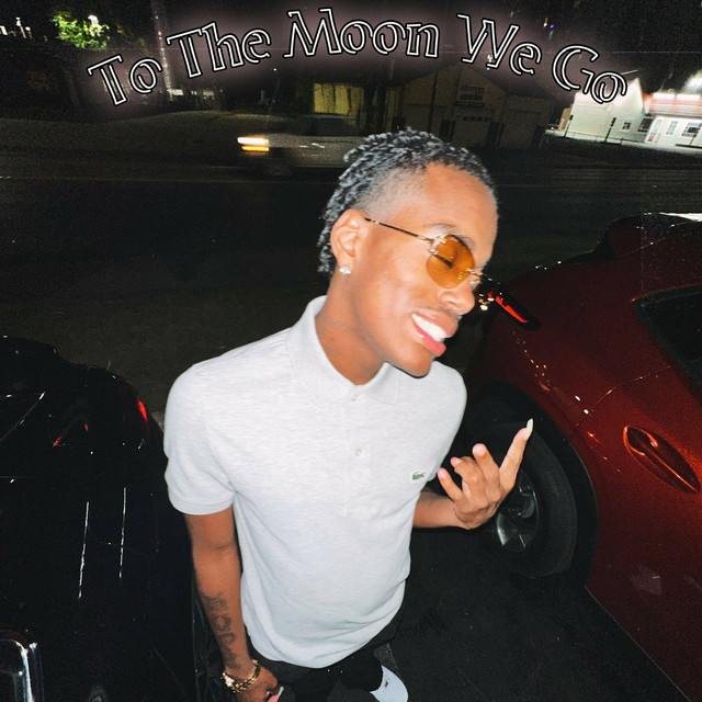 To The Moon We Go cover art