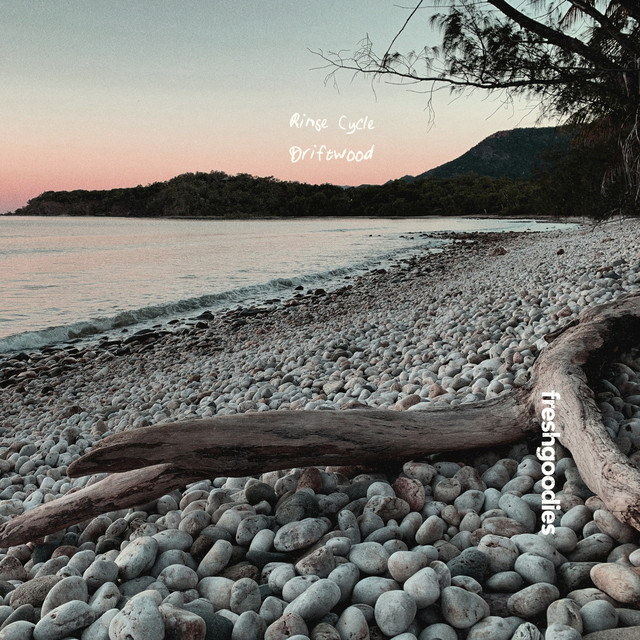Driftwood cover
