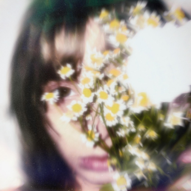daisies cover art