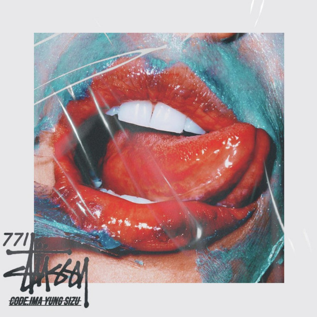 Stussy cover art