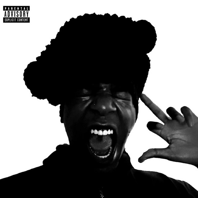 I.H.U. cover art