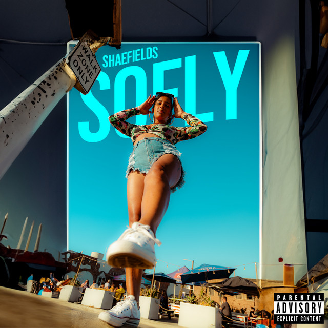 So Fly cover art