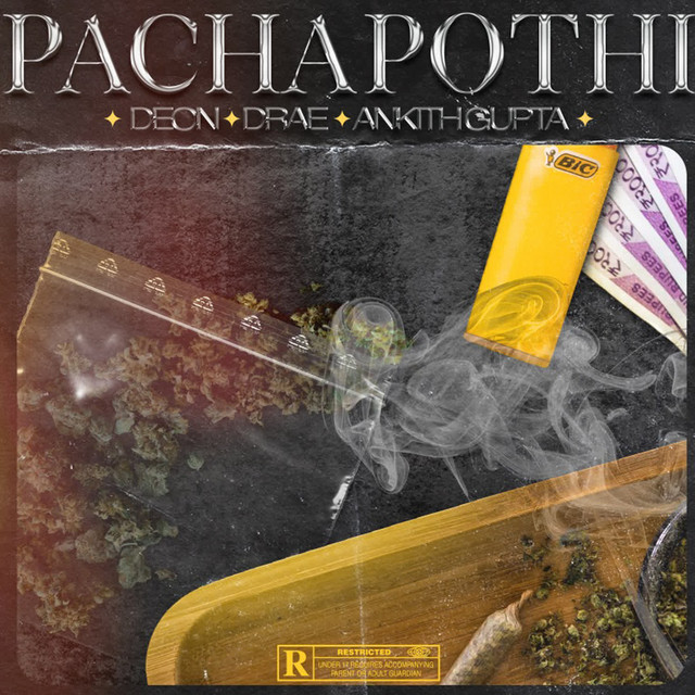 Pachapothi