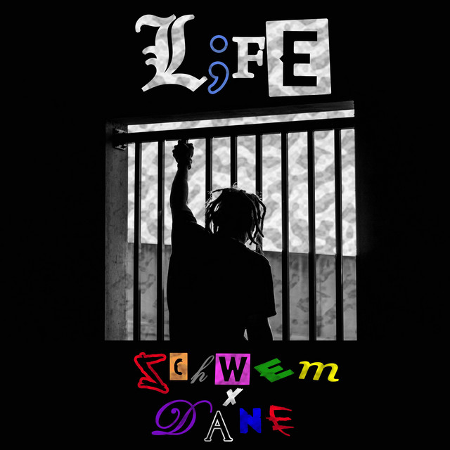 Life cover art