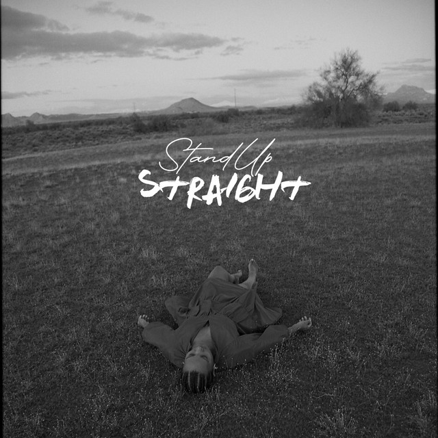 Stand up Straight cover