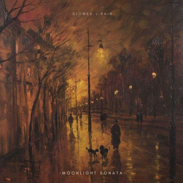 Обкладинка: moonlight sonata - slowed + rain — Ludwig van Beethoven