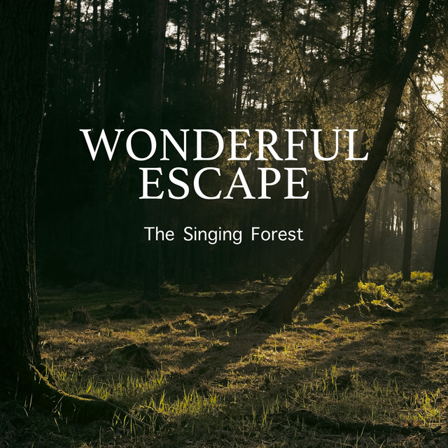 The Singing Forest album image