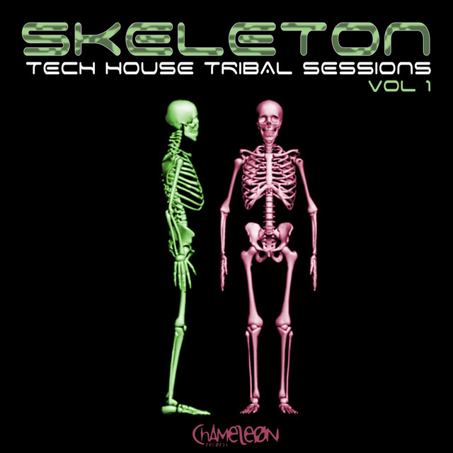 Skeleton: Tech House Tribal Sessions, Vol. 1 cover