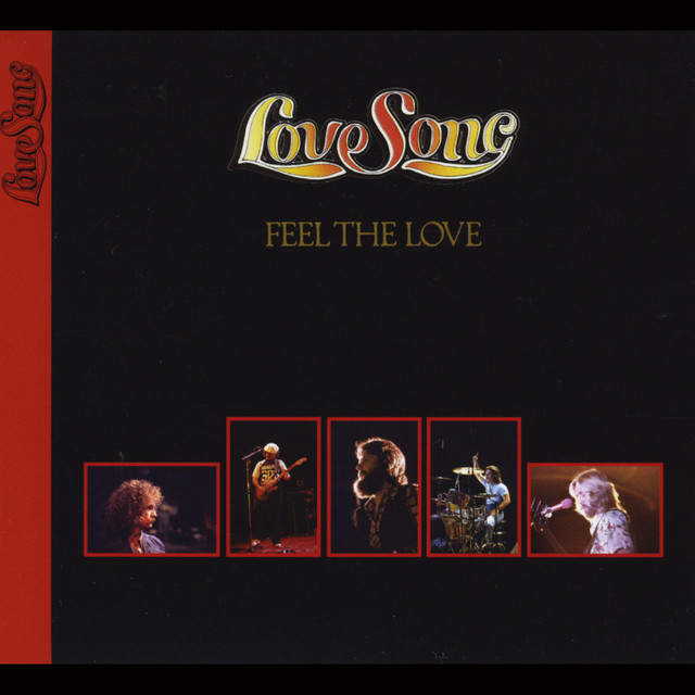 Feel the Love cover art