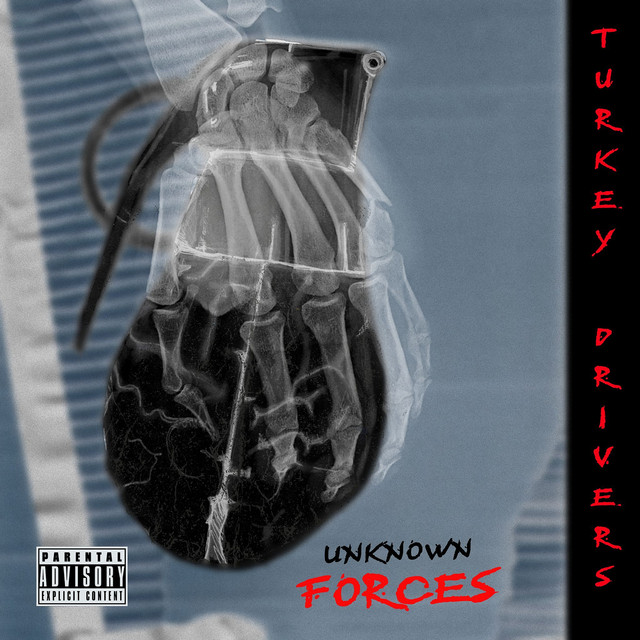 Unknown Forces cover art