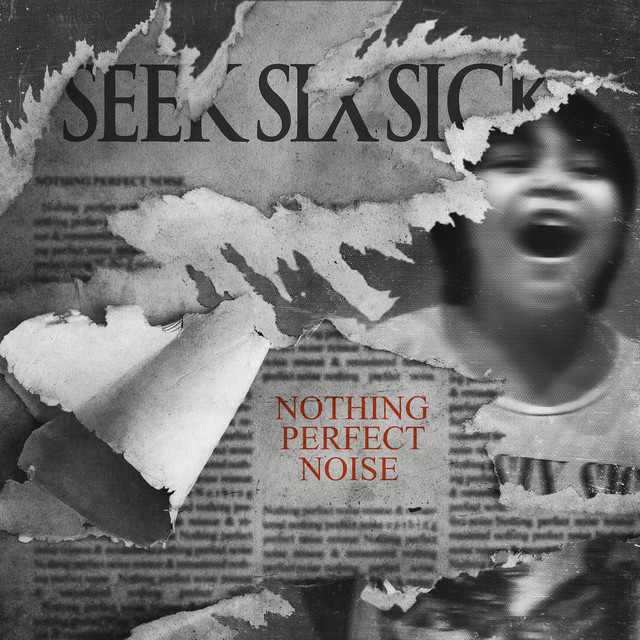Nothing Perfect Noise cover art